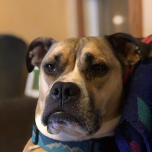 Meet your Posher, Gary seung